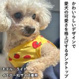犬 服 犬服 | K-city | 詳細画像6