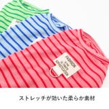 犬 服 犬服 | K-city | 詳細画像4 