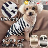 犬 服 犬服 | K-city | 詳細画像1