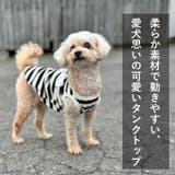 犬 服 犬服 | K-city | 詳細画像2