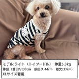 犬 服 犬服 | K-city | 詳細画像3