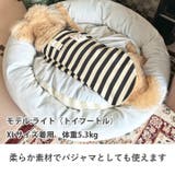 犬 服 犬服 | K-city | 詳細画像5