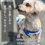 犬 服 犬服 | K-city | 詳細画像6