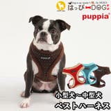 ハーネス 犬 首の負担が少ない | K-city | 詳細画像1 