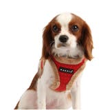 ハーネス 犬 首の負担が少ない | K-city | 詳細画像2 