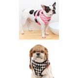 ハーネス 犬 アーガイル | K-city | 詳細画像3