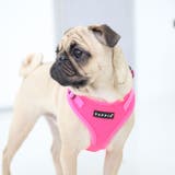 ハーネス ネオンカラー 犬 | K-city | 詳細画像3 