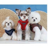 ハーネス 犬 首の負担が少ない | K-city | 詳細画像5
