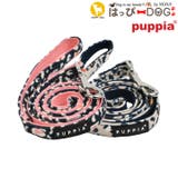 リード 小型犬 中型犬 | K-city | 詳細画像1 