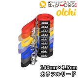 リード カラフル オルチ | K-city | 詳細画像1 