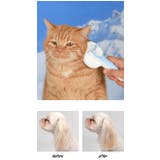 犬 ブラシ 痛くない | K-city | 詳細画像3 