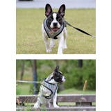 ハーネス 犬 首の負担が少ない | K-city | 詳細画像2 