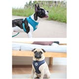 ハーネス 犬 ドット柄 | K-city | 詳細画像3
