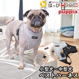 ハーネス 犬 首の負担が少ない | K-city | 詳細画像1