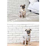 ハーネス 犬 首の負担が少ない | K-city | 詳細画像2