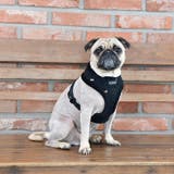 ハーネス 犬 首の負担が少ない | K-city | 詳細画像4