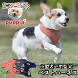 ハーネス 犬 首の負担が少ない | K-city | 詳細画像1