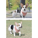 ハーネス 犬 首の負担が少ない | K-city | 詳細画像2