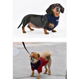ハーネス 犬 首の負担が少ない | K-city | 詳細画像3