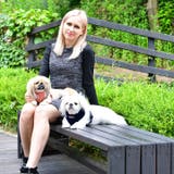 ハーネス 犬 首の負担が少ない | K-city | 詳細画像6