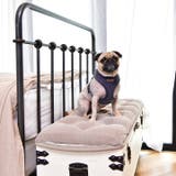 ハーネス 犬 首の負担が少ない | K-city | 詳細画像7
