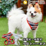 ハーネス 犬 首の負担が少ない | K-city | 詳細画像1