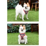 ハーネス 犬 首の負担が少ない | K-city | 詳細画像2