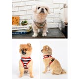 ハーネス 犬 首の負担が少ない | K-city | 詳細画像4