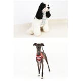 ハーネス 犬 首の負担が少ない | K-city | 詳細画像5