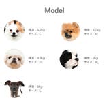 ハーネス 犬 首の負担が少ない | K-city | 詳細画像9