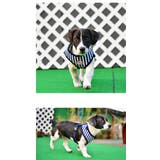 ハーネス 犬 ボーダー | K-city | 詳細画像2