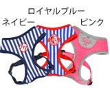 ハーネス 犬 ボーダー | K-city | 詳細画像6