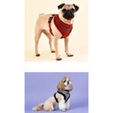 ハーネス 犬 首の負担が少ない | K-city | 詳細画像2