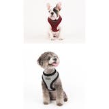 ハーネス 犬 首の負担が少ない | K-city | 詳細画像3