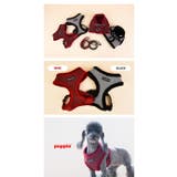 ハーネス 犬 首の負担が少ない | K-city | 詳細画像5