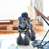 ハーネス 犬 首の負担が少ない | K-city | 詳細画像3 