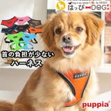 ハーネス 犬 首の負担が少ない | K-city | 詳細画像1 