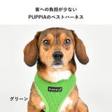ハーネス 犬 首の負担が少ない | K-city | 詳細画像2 