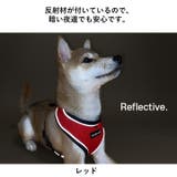 ハーネス 犬 首の負担が少ない | K-city | 詳細画像4 
