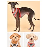 ハーネス 犬 首の負担が少ない | K-city | 詳細画像3