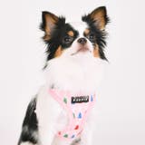 ハーネス うさぎ柄 犬 | K-city | 詳細画像5