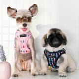 ハーネス うさぎ柄 犬 | K-city | 詳細画像7