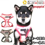 ハーネス カモフラ 犬 | K-city | 詳細画像1 