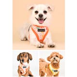 ハーネス 犬 首の負担が少ない | K-city | 詳細画像3