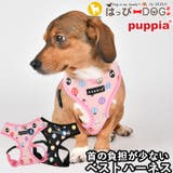 ハーネス 犬 首の負担が少ない | K-city | 詳細画像1 