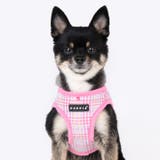 ハーネス 犬 首の負担が少ない | K-city | 詳細画像3