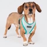 ハーネス 犬 首の負担が少ない | K-city | 詳細画像4