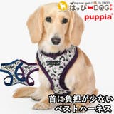 ハーネス 犬 首の負担が少ない | K-city | 詳細画像1 