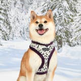 ハーネス 犬 首の負担が少ない | K-city | 詳細画像3 