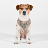 ハーネス 千鳥柄 チェック柄 | K-city | 詳細画像4 